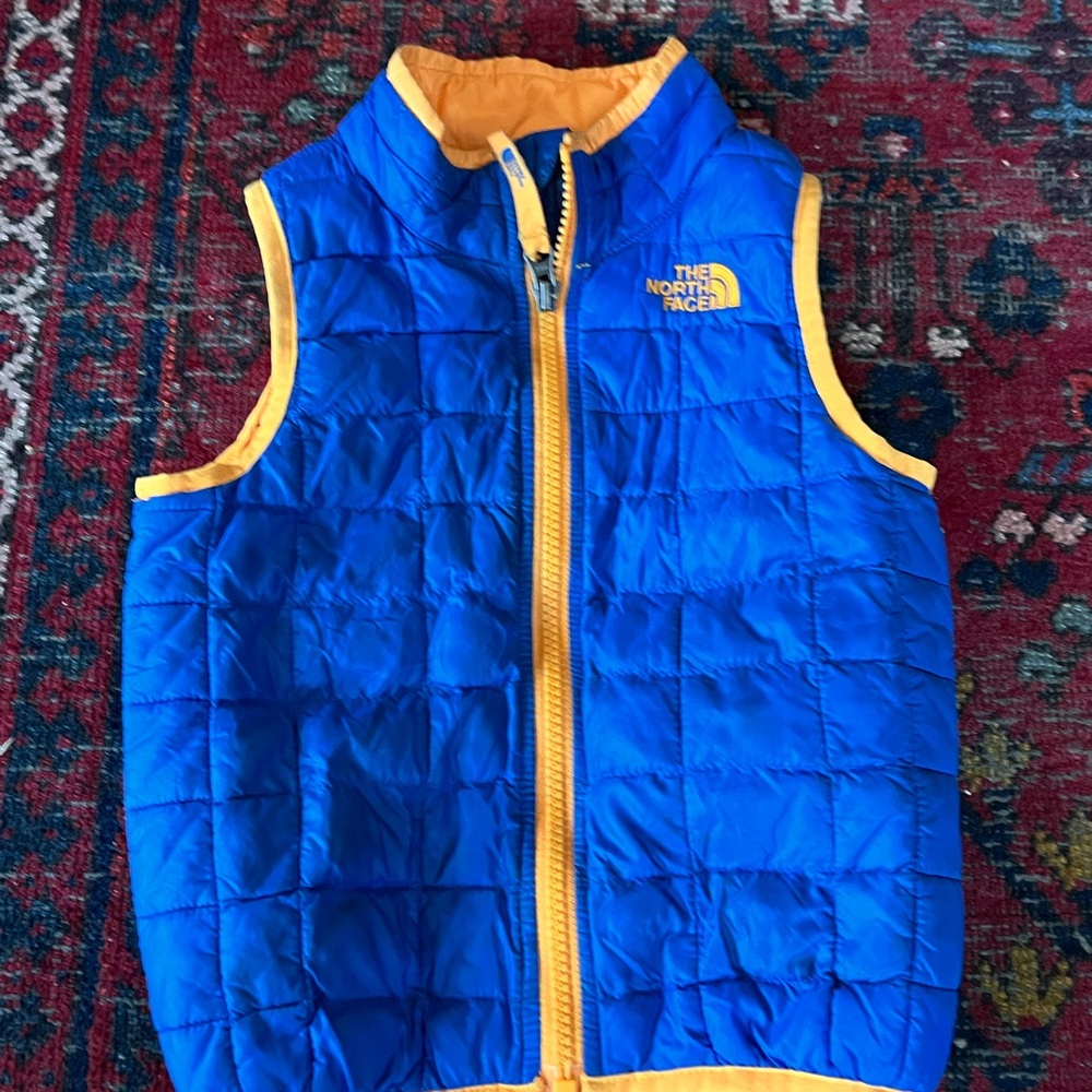 The North Face Blue and orange Vest